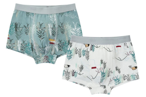 Nest Designs Boys Boxer Briefs Underwear (2 Pack) - Forest Fun - 2T-3T