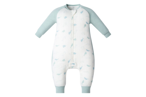 Nest Designs Raglan Bamboo Long Sleeve Footed Sleep Bag 2.5 TOG - Baby Beluga 4T-6T