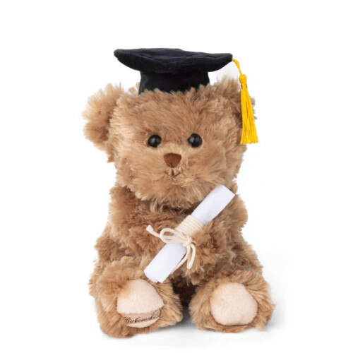 Bukowski Graduate Bear 11"
