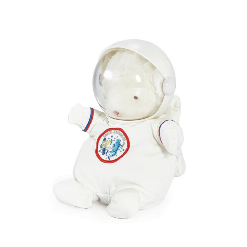 Bunnies By The Bay Astronaut Kiddo The Lamb