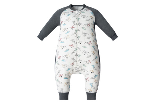 Nest Designs Raglan Bamboo Long Sleeve Footed Sleep Bag 2.5 TOG - Rainbow Swim 18M-2.5T