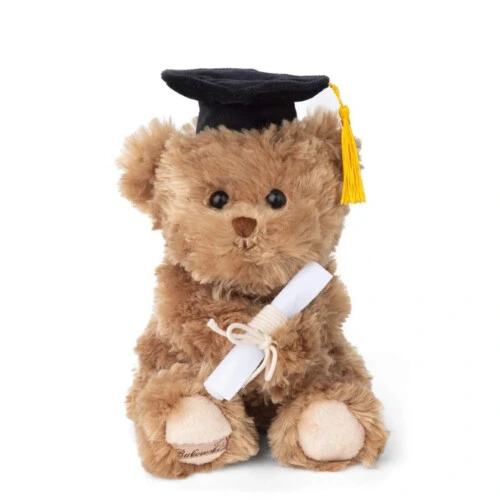 Bukowski Graduate Bear 11"