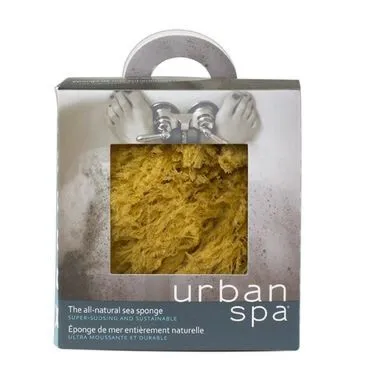4EVER Body Sea Sponge