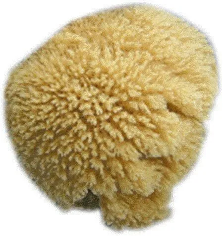 4EVER Facial Sea Sponges 4 Per Pack
