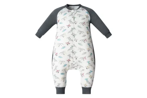 Nest Designs Raglan Bamboo Long Sleeve Footed Sleep Bag 2.5 TOG - Rainbow Swim 2.5T-4T